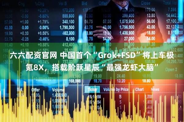 六六配资官网 中国首个“Grok+FSD”将上车极氪8X，搭载阶跃星辰“最强龙虾大脑”